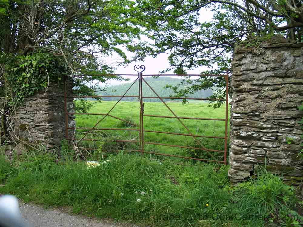KG110893